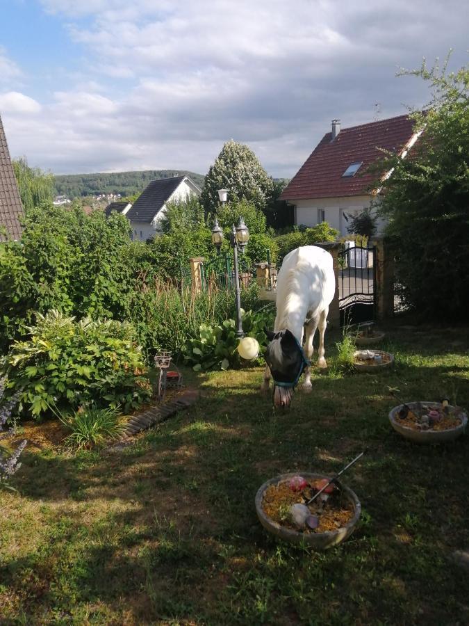 Chez Olivier Et Josette Sur Mulhouse Sud Apartman Illfurth Kültér fotó
