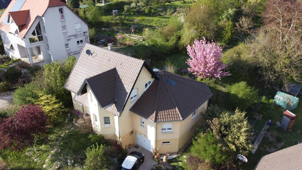 Chez Olivier Et Josette Sur Mulhouse Sud Apartman Illfurth Kültér fotó